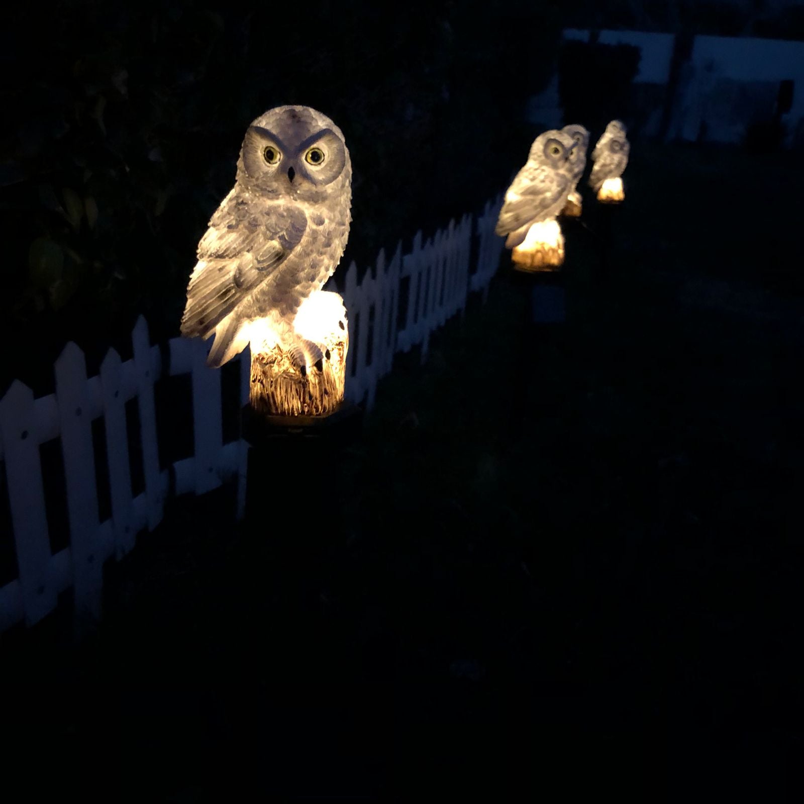 Solar Owl Garden Light Lamp ( Pack of 5 )