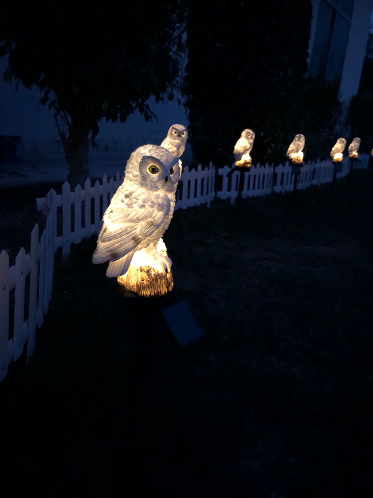 Solar Owl Garden Light Lamp ( Pack of 5 )