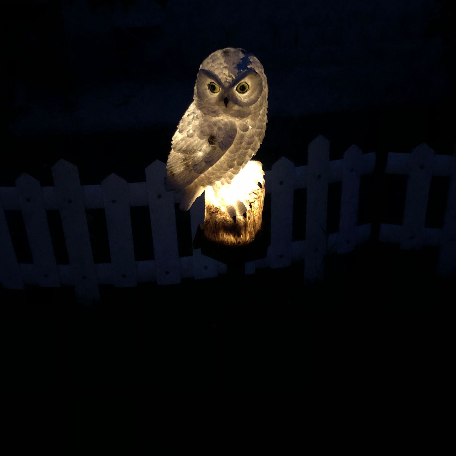 Solar Owl Garden Light Lamp ( Pack of 5 )